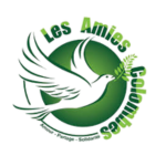 gestion de stress et burn out coach memarisse les amies colombes gestion de stress et burn out coach memarisse les amies colombes